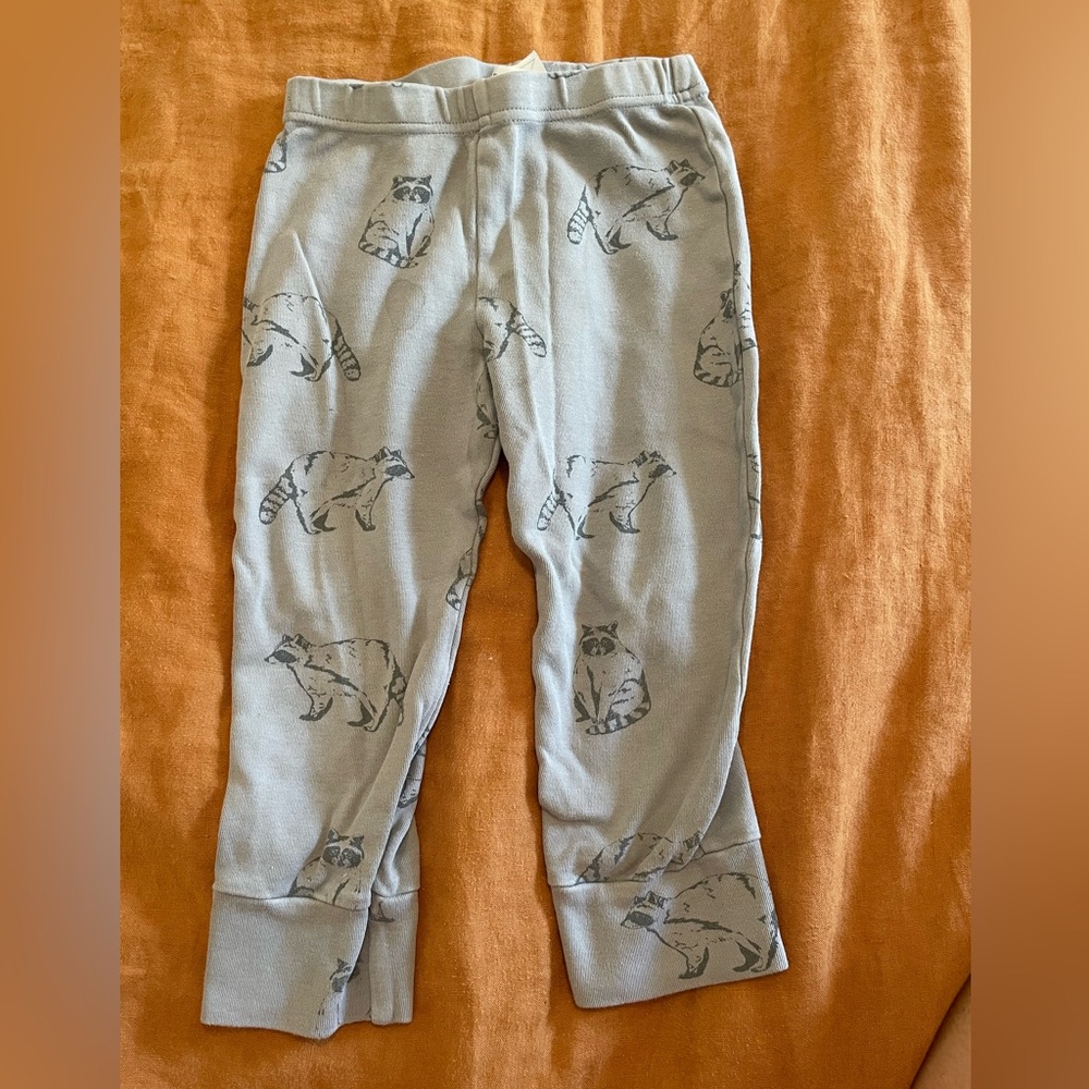 Raccoon pajama pants
